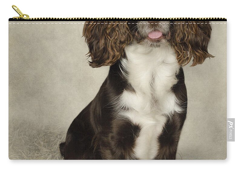 Dog Zip Pouch featuring the photograph Dougie The Cocker Spaniel by Linsey Williams