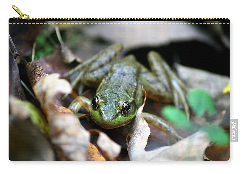 Green Zip Pouch featuring the photograph Down Under by Neal Eslinger