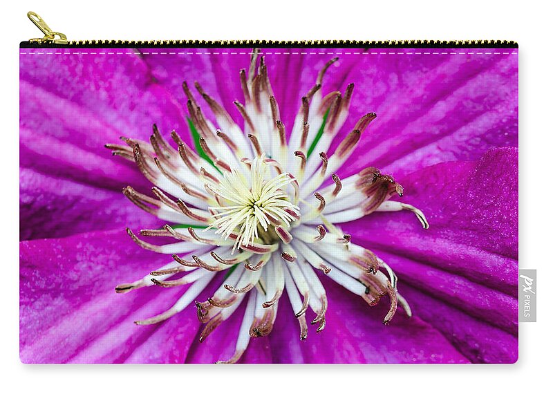 Clematis Zip Pouch featuring the photograph Dr. Seuss Flower No. 1569 by Georgette Grossman