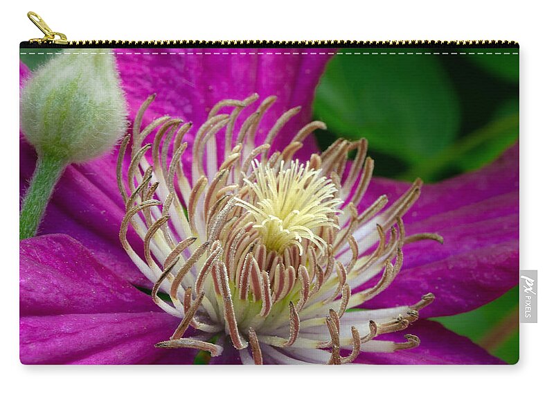 Clematis Zip Pouch featuring the photograph Dr. Seuss Flower No. 7636 and Bud by Georgette Grossman