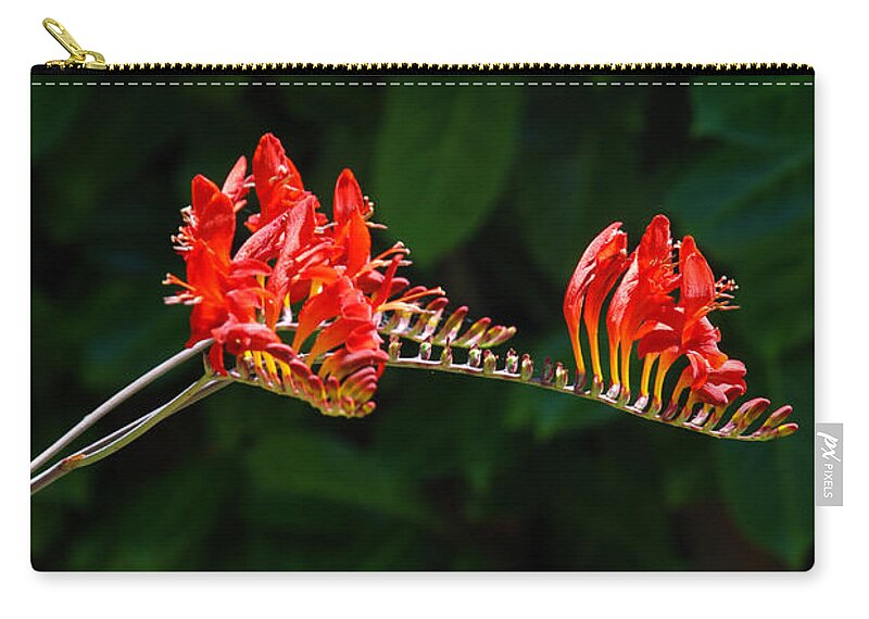 Dragon Zip Pouch featuring the photograph Dragon Heads by Carol Eliassen