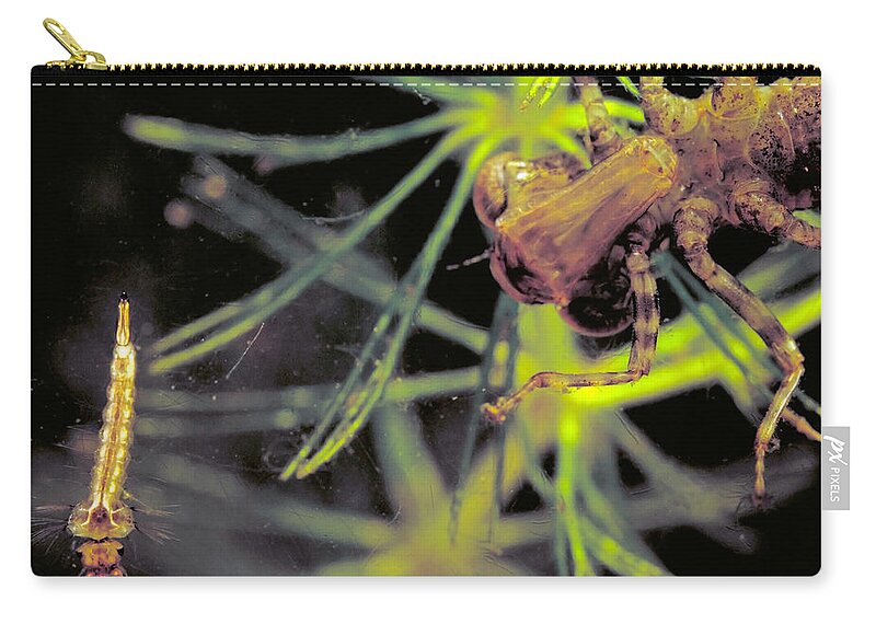 Animal Zip Pouch featuring the photograph Dragonfly Nymph & Mosquito Larva by Robert Noonan