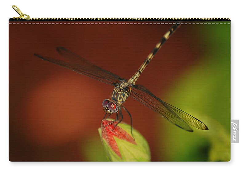 Dragonfly Zip Pouch featuring the photograph Dragonfly on Hibiscus by Leticia Latocki