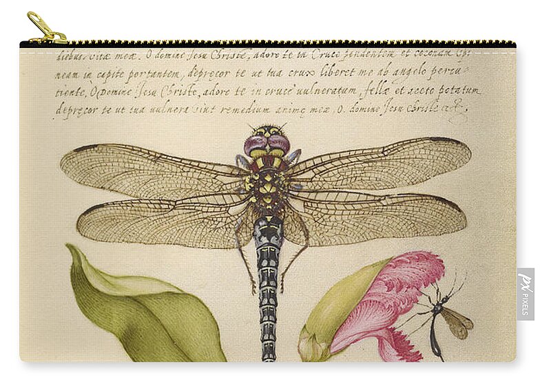 Illustration Zip Pouch featuring the photograph Dragonfly-Pear-Carnation And Insect by Getty Research Institute