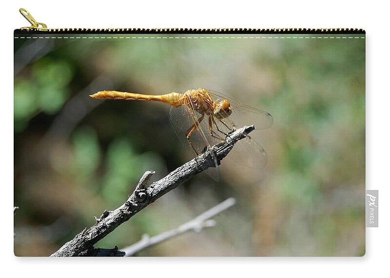 Dakota Zip Pouch featuring the photograph Dragonfly Summer by Greni Graph