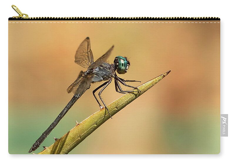 Dragonfly Zip Pouch featuring the photograph Dragonlet by Erin Thomsen