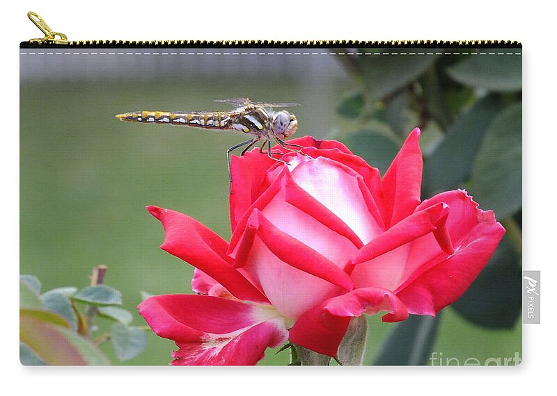 Dragon Fly Zip Pouch featuring the photograph Dragon's Kiss by Yenni Harrison