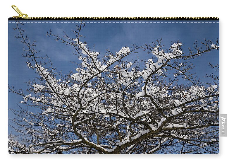 Snow Covered Zip Pouch featuring the photograph Dreaming of a White Christmas by Georgia Mizuleva