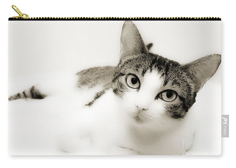 Cat Zip Pouch featuring the photograph Dreamy Cat 2 by Andee Design