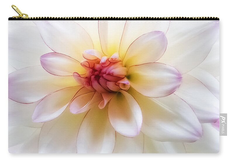 Dahlia Zip Pouch featuring the photograph Dreamy Dahlia by Mary Jo Allen