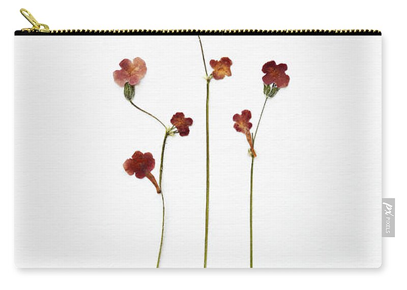 Dried Plant Zip Pouch featuring the photograph Dried Flowers by Agalma