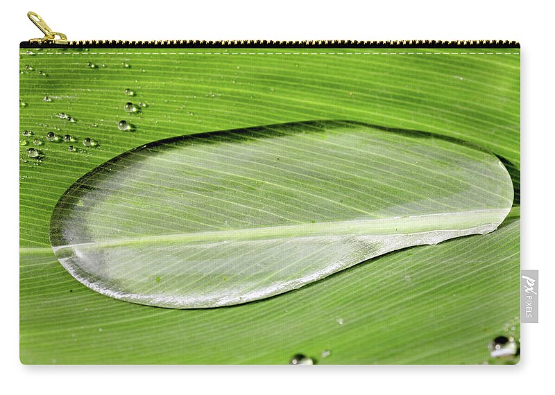 Netherlands Zip Pouch featuring the photograph Drop On Repellent Leaf by Marcel Ter Bekke
