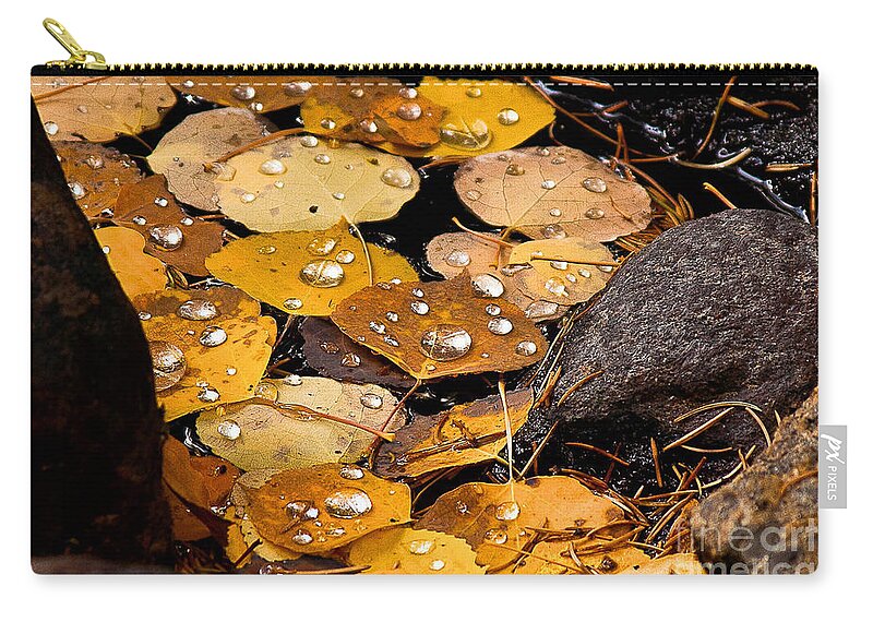 Nature Zip Pouch featuring the photograph Drops on Nature's Gold by Steven Reed
