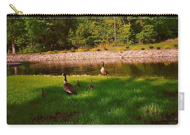 Duck Zip Pouch featuring the photograph Duck Family Getting Back From Pond by Chris W Photography AKA Christian Wilson