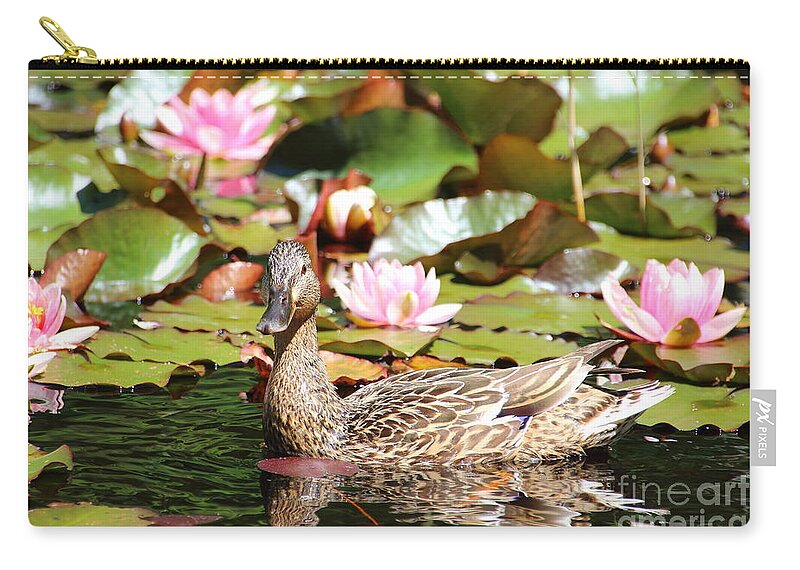 Lilies Carry-all Pouch featuring the photograph Duck in the Water Lilies by Amanda Mohler