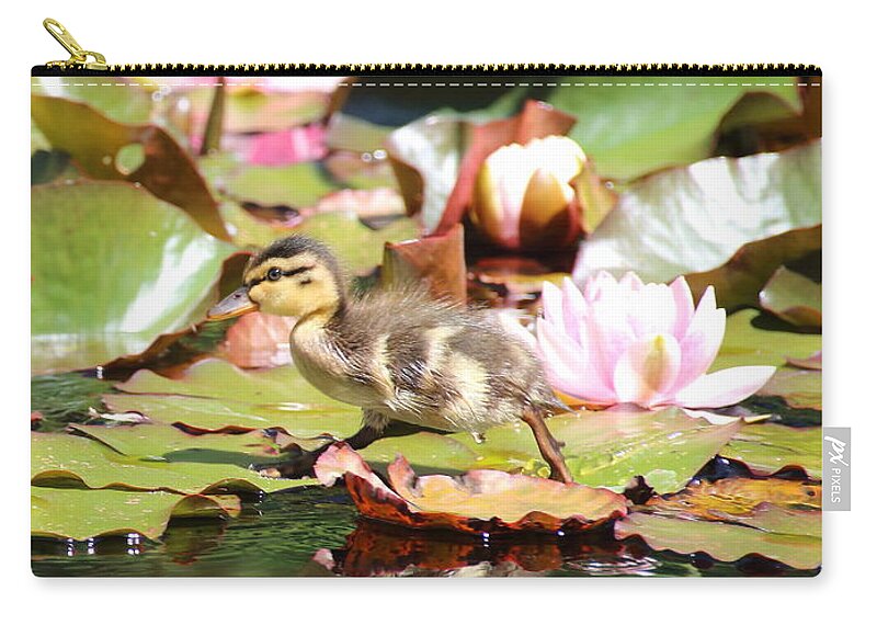 Ducklings Carry-all Pouch featuring the photograph Duckling running over the Water Lilies 2 by Amanda Mohler