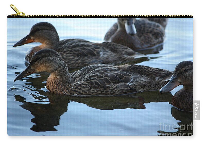 Ducks Zip Pouch featuring the photograph Ducks Reflecting by Derek O'Gorman