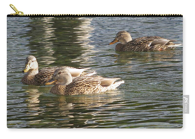 Mallards Zip Pouch featuring the photograph Ducks Sunning by Leone Lund