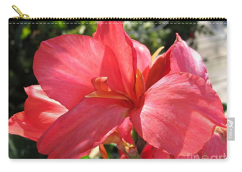 Canna Zip Pouch featuring the photograph Dwarf Canna Lily named Shining Pink by J McCombie
