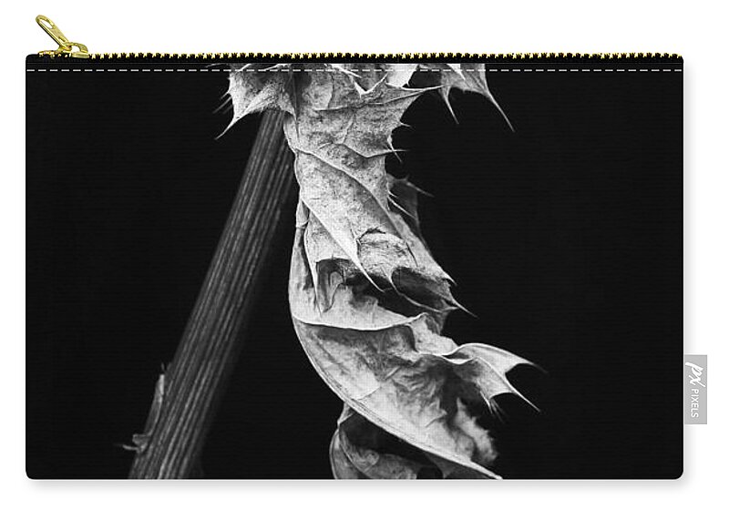 Leaf Zip Pouch featuring the photograph Dying Leaf by Robert Woodward