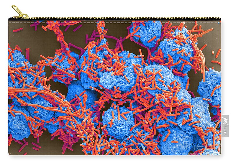 Science Carry-all Pouch featuring the photograph E Coli And Macrophages Sem by Science Source