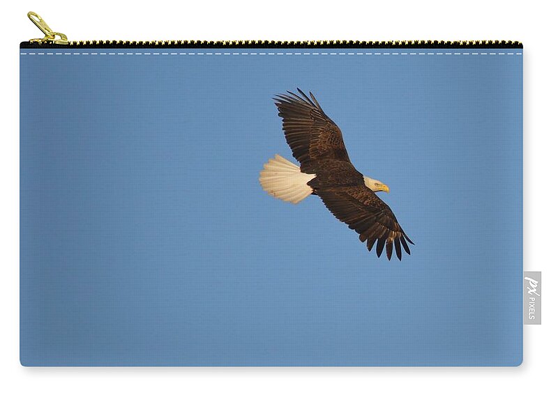 Eagle Zip Pouch featuring the photograph Eagle Flight 2 by Bonfire Photography