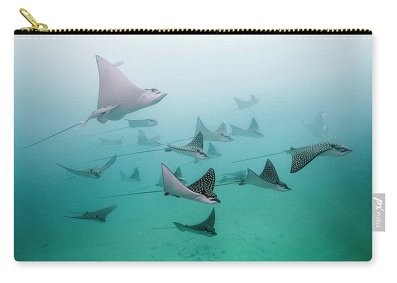 Underwater Zip Pouch featuring the photograph Eagle Rays by Colors And Shapes Of Underwater World