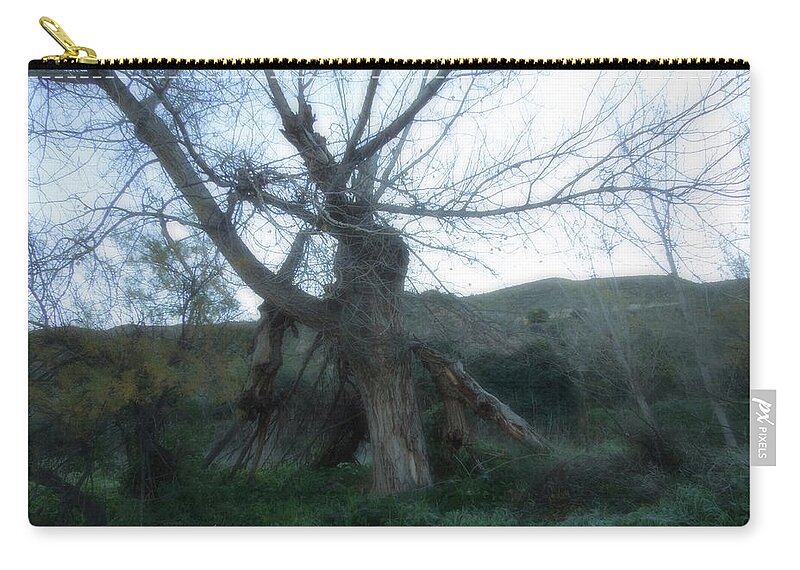 Colette Zip Pouch featuring the photograph Early morning January wild mountain Nature in Spain by Colette V Hera Guggenheim