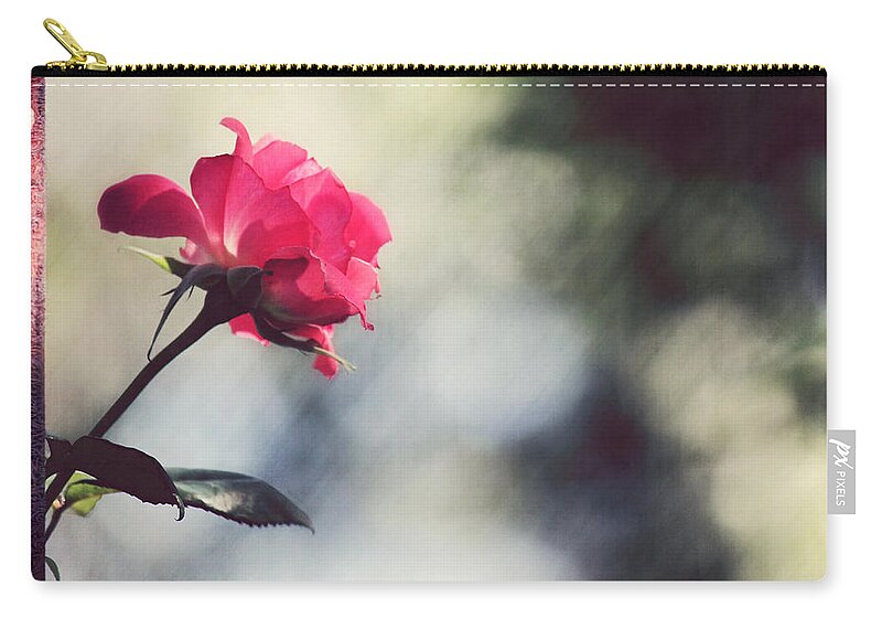 Rose Zip Pouch featuring the photograph Early Morning by Melanie Lankford Photography