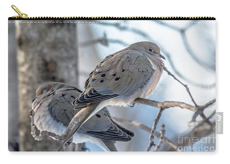 Birds Carry-all Pouch featuring the photograph Early Mourning by Cheryl Baxter