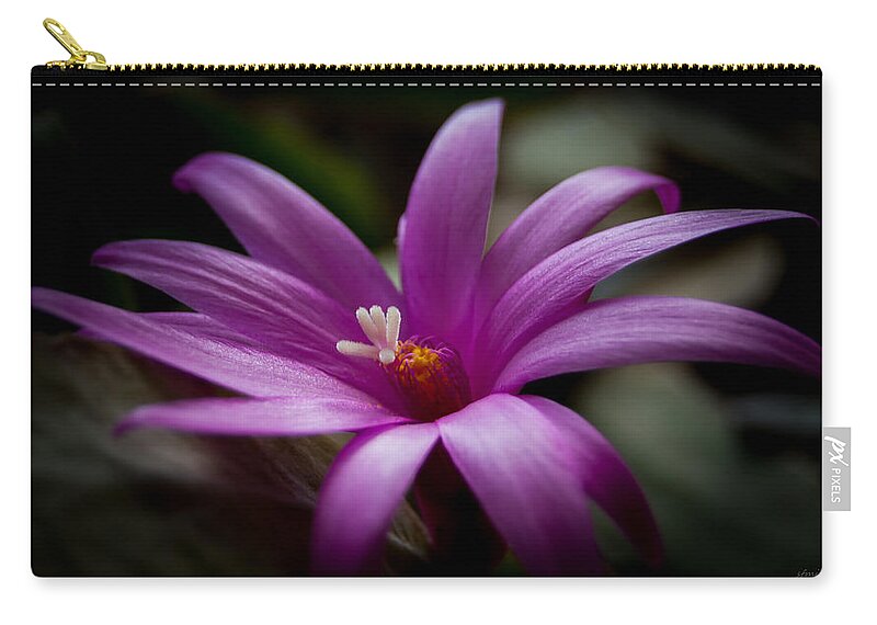 Nature Zip Pouch featuring the photograph Easter Rose by Steven Milner