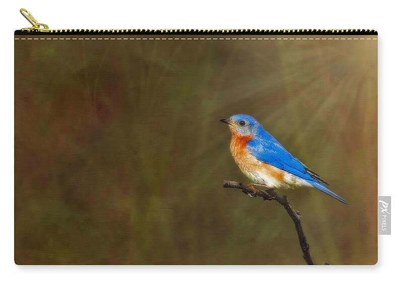 Eastern Bluebird Zip Pouch featuring the photograph Eastern Bluebird In The Prairies by Susan Candelario
