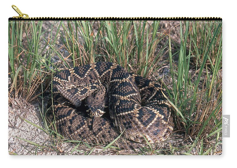 Animal Zip Pouch featuring the photograph Eastern Diamondback Rattlesnake by Karl H. Switak