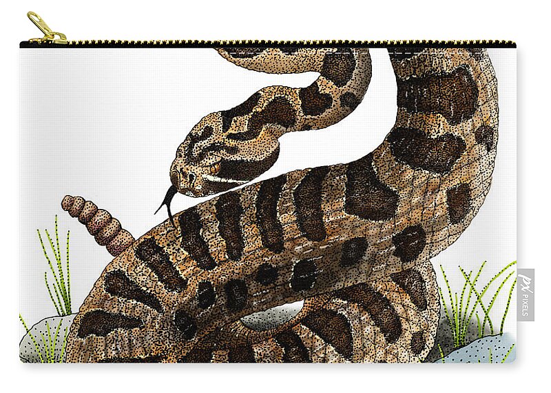 Illustration Zip Pouch featuring the photograph Eastern Massasauga Rattlesnake by Roger Hall