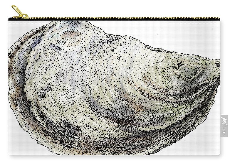 Eastern Oyster Zip Pouch featuring the photograph Eastern Oyster by Roger Hall