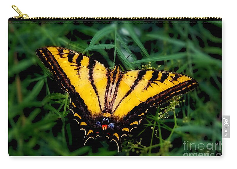 Eastern Tiger Swallowtail Butterfly Prints Zip Pouch featuring the photograph Eastern Tiger Swallowtail Butterfly by Jerry Cowart