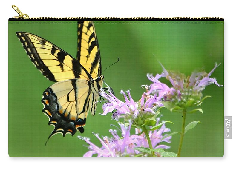 Butterfly Zip Pouch featuring the photograph Eastern Tiger Swallowtail by Deena Stoddard