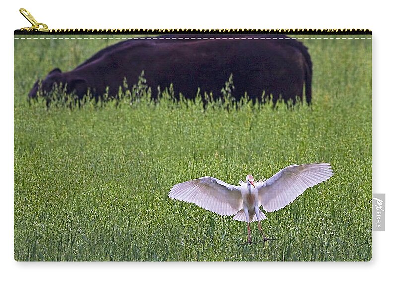 Cattle Egret Zip Pouch featuring the photograph Egret Egress by Gary Holmes