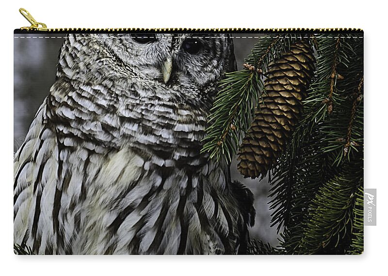 Usa Zip Pouch featuring the photograph Eight hoots from the pine cone perch by LeeAnn McLaneGoetz McLaneGoetzStudioLLCcom