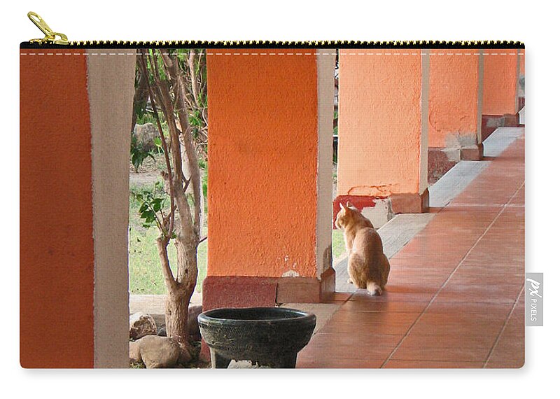 Cat Zip Pouch featuring the photograph El Gato by Marcia Socolik