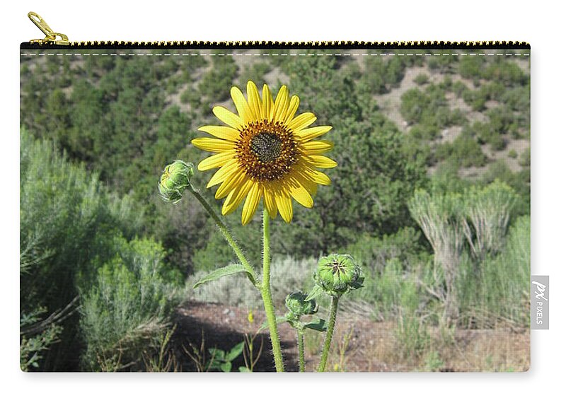 Happiness Zip Pouch featuring the photograph Elated Sunflower by Ron Monsour