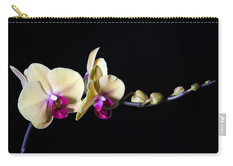 Orchids Zip Pouch featuring the photograph Elegance in Bloom by Georgette Grossman