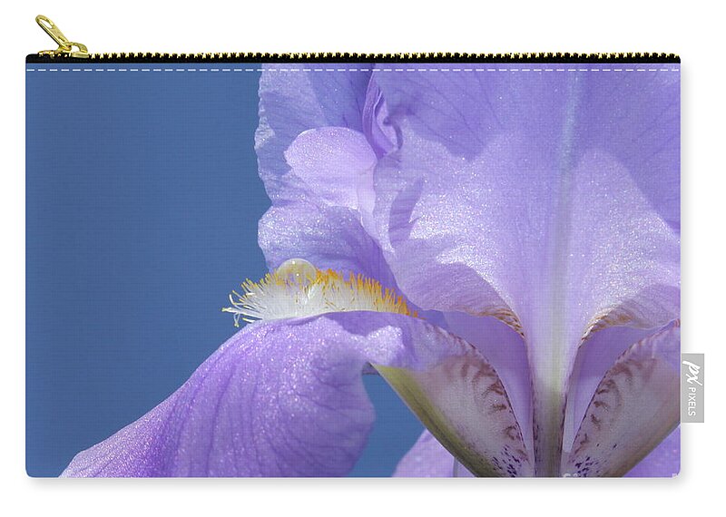 Iris Zip Pouch featuring the photograph Elegant Iris by Krissy Katsimbras