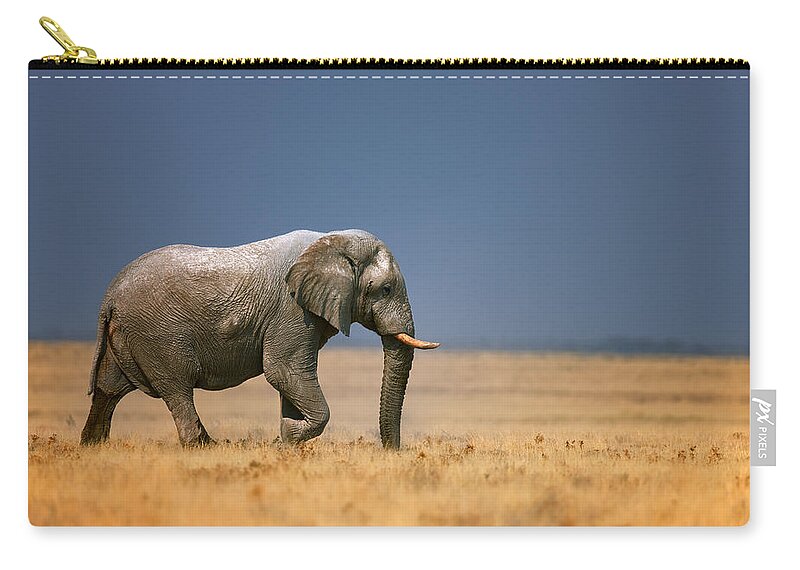 Walk Zip Pouch featuring the photograph Elephant in grassfield by Johan Swanepoel