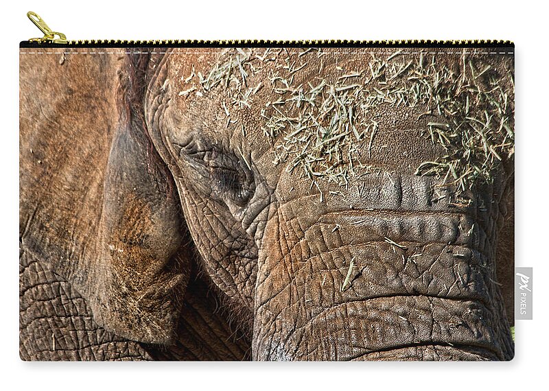 Elephant Zip Pouch featuring the photograph Elephant never forgets by Miroslava Jurcik