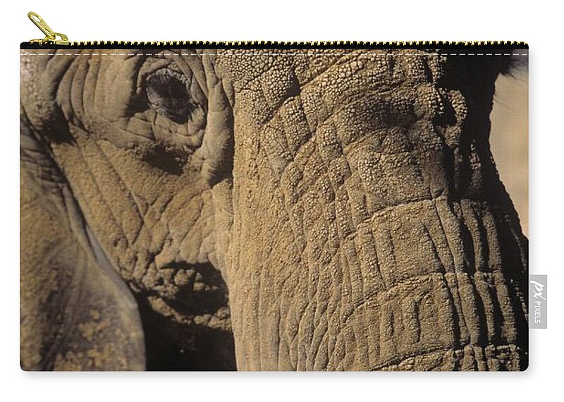 Elephant Zip Pouch featuring the photograph Elephant Portraint by John Harmon
