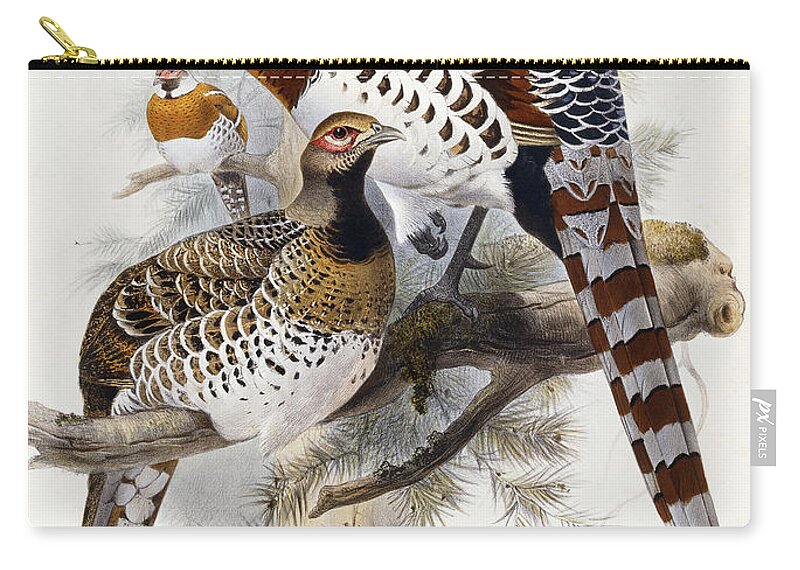 Pheasant Zip Pouch featuring the painting Elliot's Pheasant by Joseph Wolf