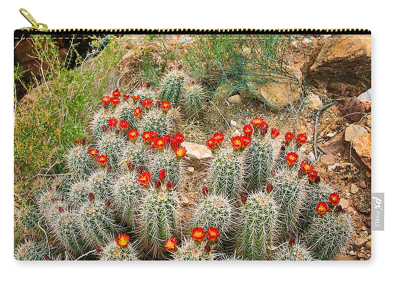 America Zip Pouch featuring the photograph Elves Chasm Cacti by Inge Johnsson