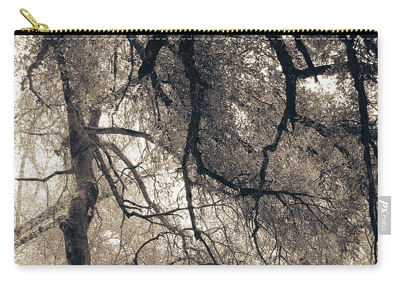 Tree Zip Pouch featuring the photograph Enchanted Forest by KATIE Vigil