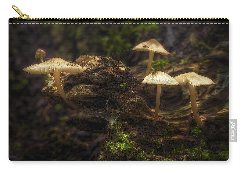 Mushrooms Zip Pouch featuring the photograph Enchanted Forest by Scott Norris